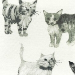Cats: Designer fabric will collection of black & white hand drawn cats, printed on white cotton.