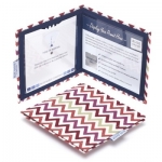 Blue Badge Holder Blaze